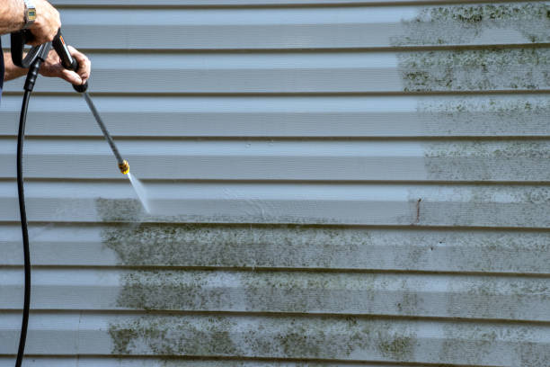 Affordable Siding Repair and Maintenance Services in Delft Colony, CA